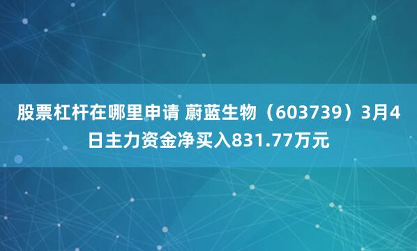 股票杠杆在哪里申请 蔚蓝生物（603739）3月4日主力资金净买入831.77万元