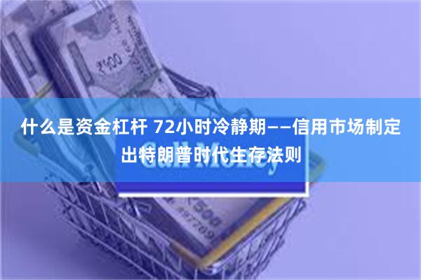 什么是资金杠杆 72小时冷静期——信用市场制定出特朗普时代生存法则