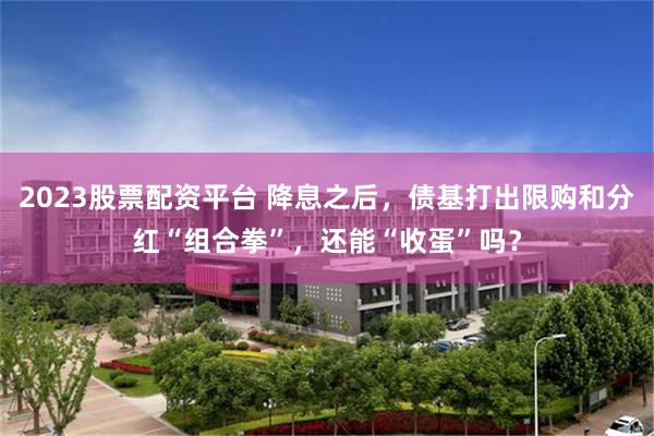 2023股票配资平台 降息之后，债基打出限购和分红“组合拳”，还能“收蛋”吗？